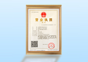 資質(zhì)